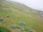 lostcoast2008_177_small.jpg