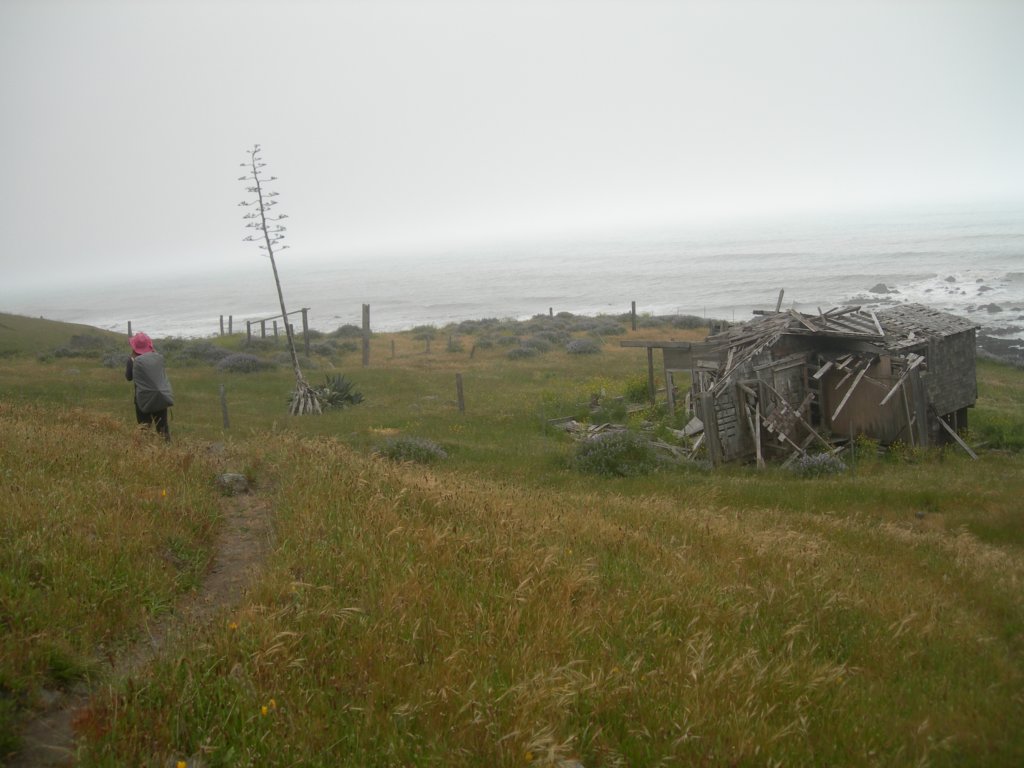 lostcoast2008_181.jpg
