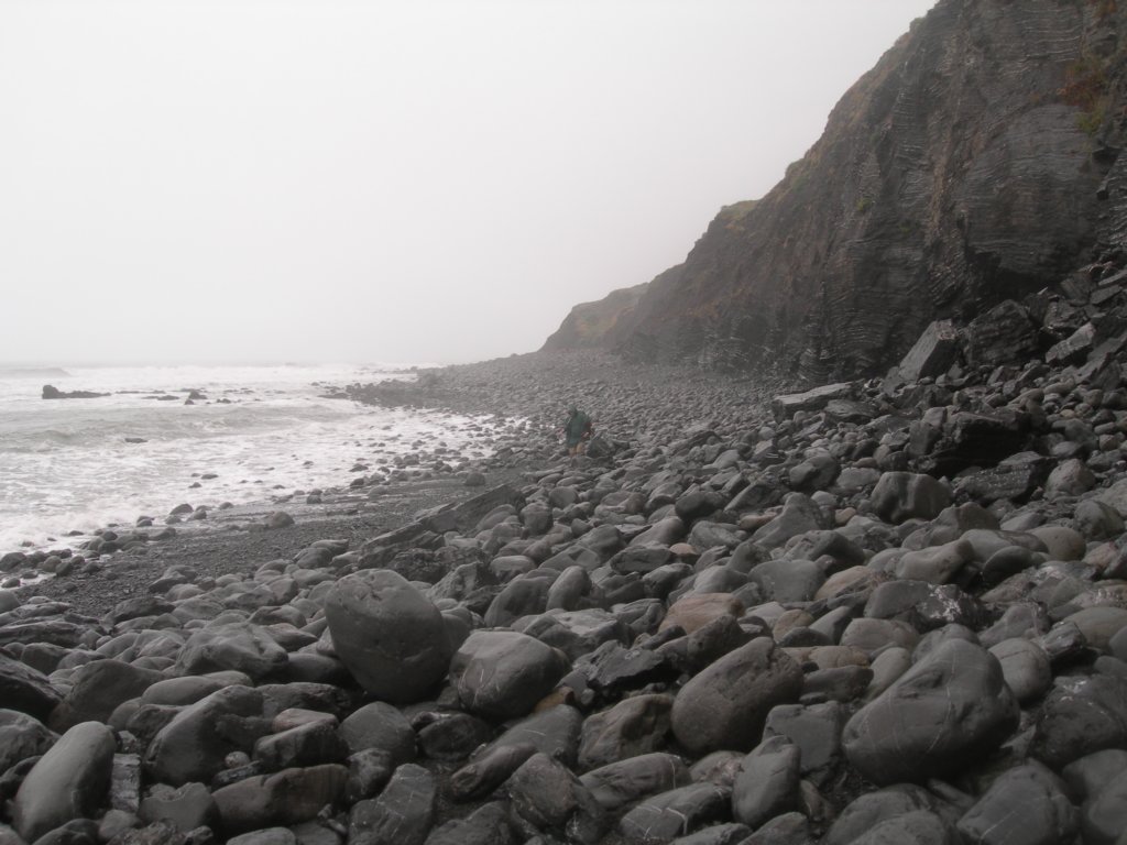 lostcoast2008_190.jpg