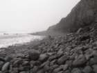 lostcoast2008_190_small.jpg