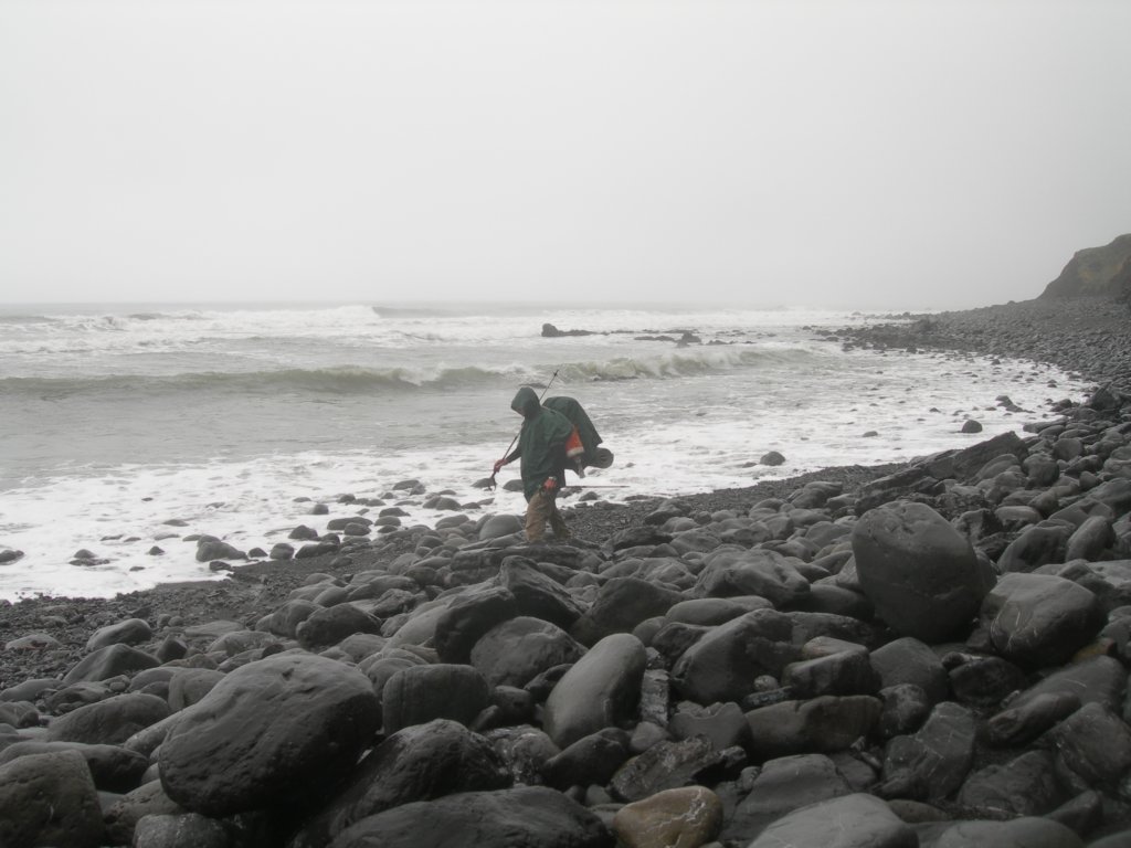 lostcoast2008_192.jpg