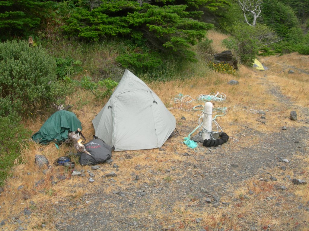 lostcoast2008_209.jpg