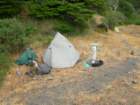 lostcoast2008_209_small.jpg