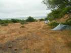 lostcoast2008_215_small.jpg