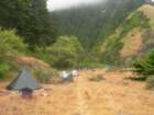 lostcoast2008_217_small.jpg