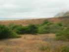 lostcoast2008_237_small.jpg