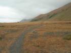 lostcoast2008_246_small.jpg
