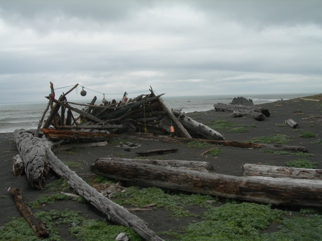 lostcoast2008_248.jpg