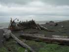 lostcoast2008_248_small.jpg