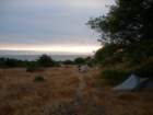 lostcoast2008_274_small.jpg