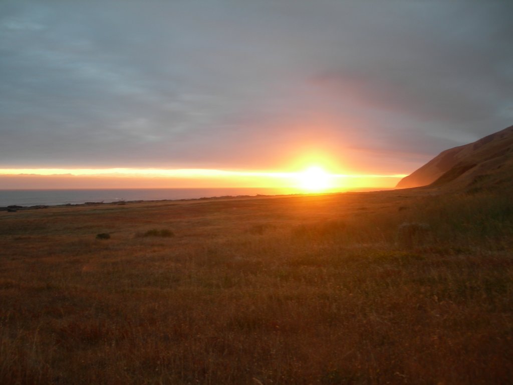 lostcoast2008_282.jpg
