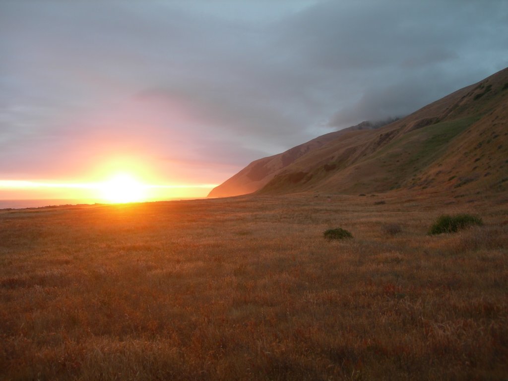 lostcoast2008_283.jpg