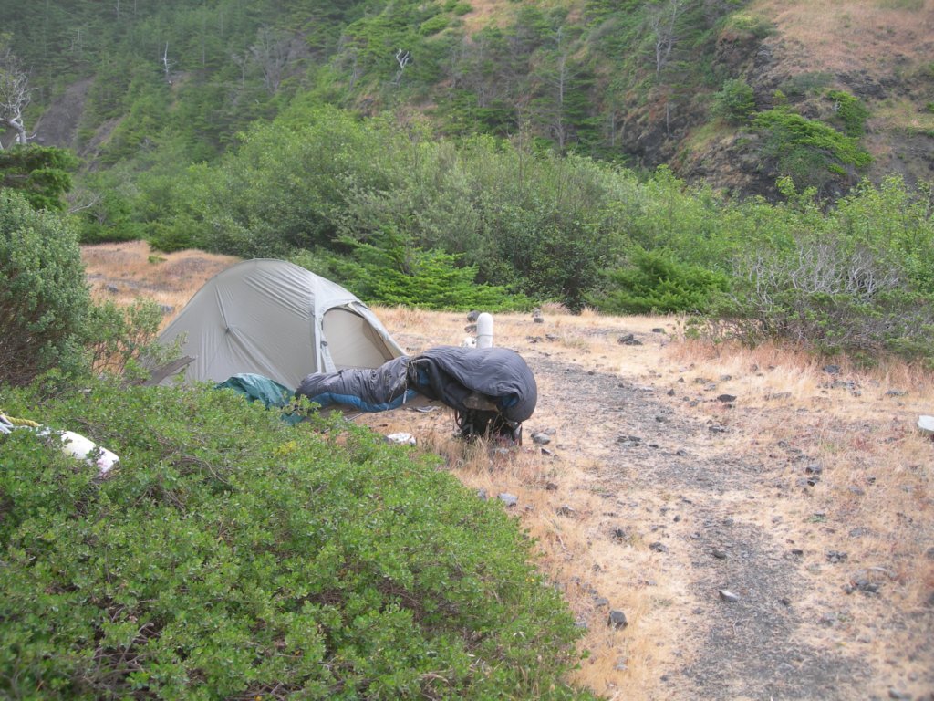 lostcoast2008_318.jpg