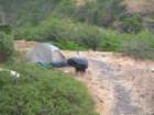 lostcoast2008_318_small.jpg
