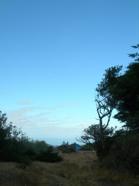 lostcoast2008_320.jpg