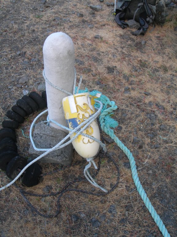 lostcoast2008_322.jpg
