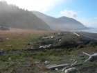 lostcoast2008_333_small.jpg