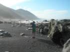 lostcoast2008_338_small.jpg
