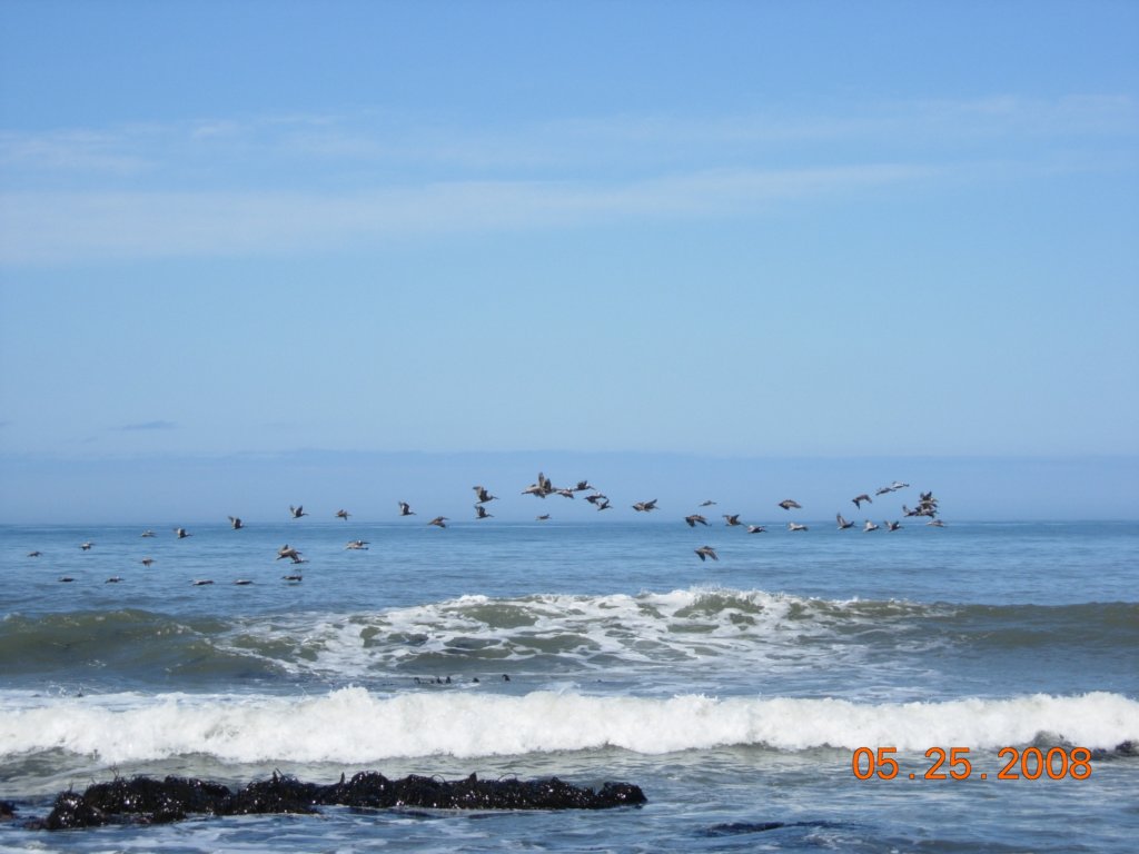 lostcoast2008_363.jpg