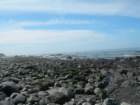 lostcoast2008_364_small.jpg