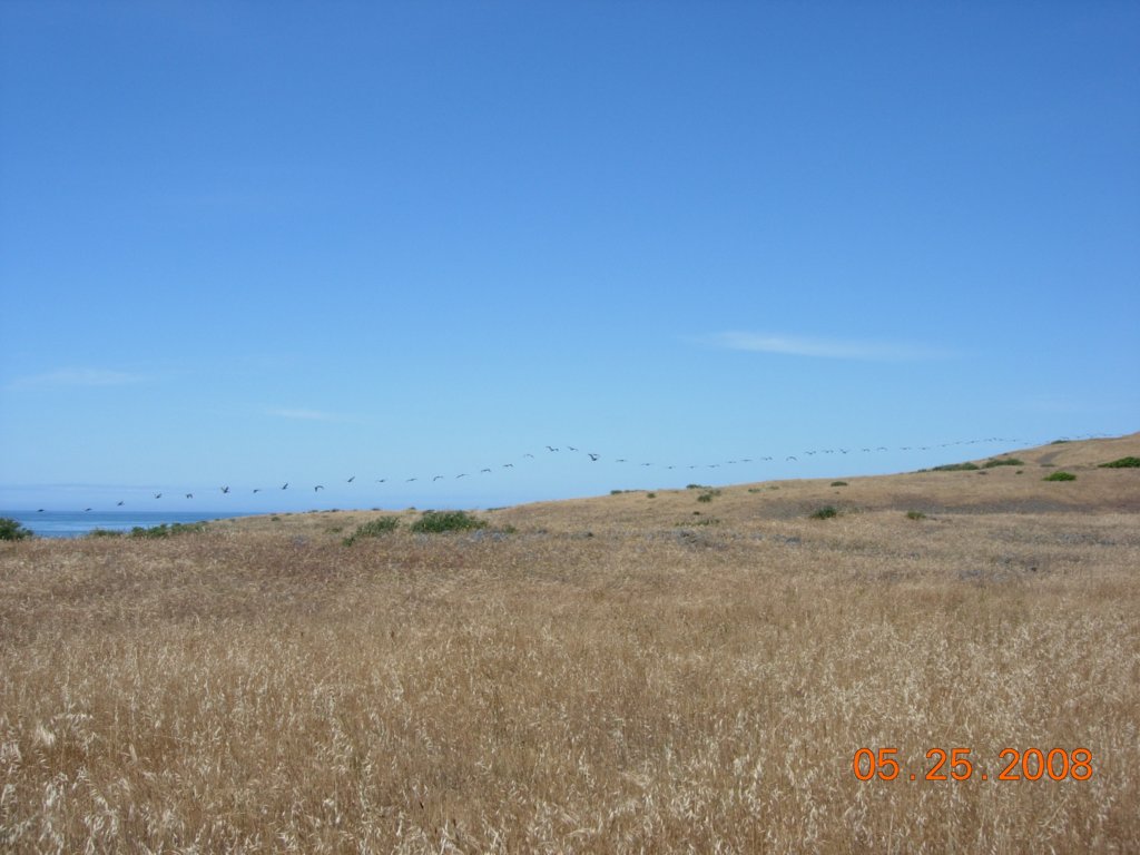 lostcoast2008_392.jpg