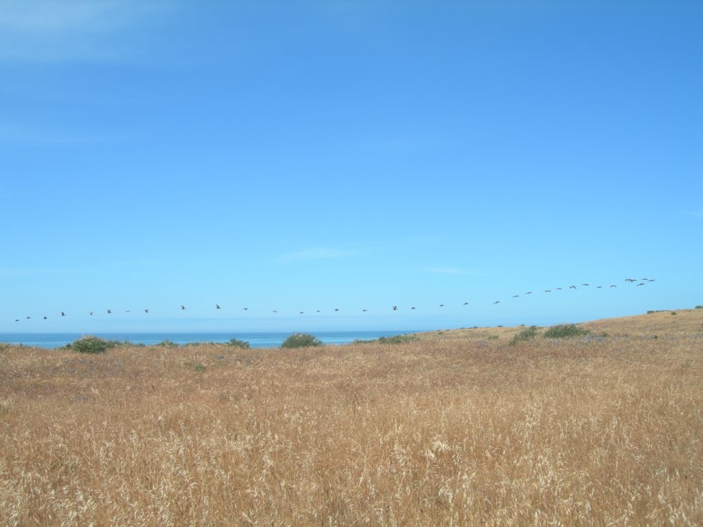 lostcoast2008_396.jpg