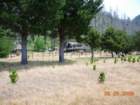 lostcoast2008_398_small.jpg