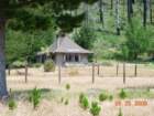 lostcoast2008_399_small.jpg
