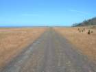 lostcoast2008_405_small.jpg