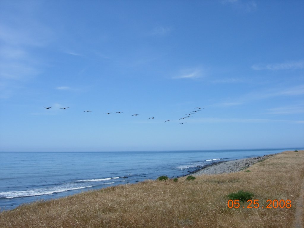 lostcoast2008_421.jpg