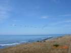 lostcoast2008_421_small.jpg