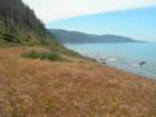 lostcoast2008_423_small.jpg
