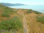 lostcoast2008_425_small.jpg