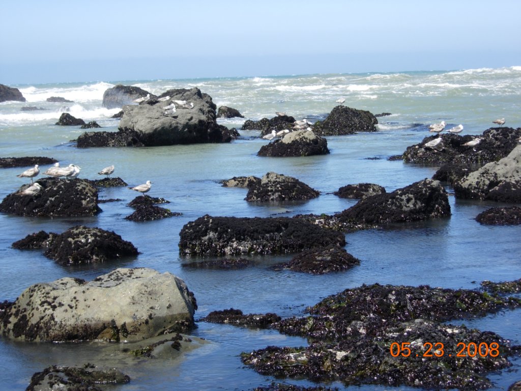 lostcoast2008_43.jpg