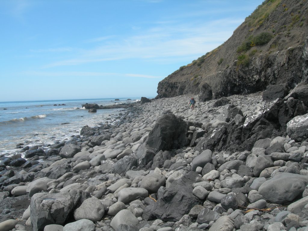 lostcoast2008_433.jpg