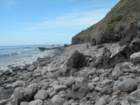 lostcoast2008_433_small.jpg