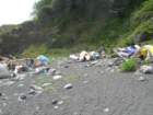 lostcoast2008_446_small.jpg