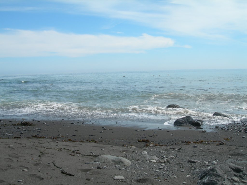 lostcoast2008_451.jpg