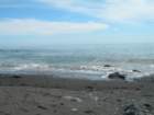 lostcoast2008_451_small.jpg