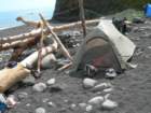 lostcoast2008_454_small.jpg