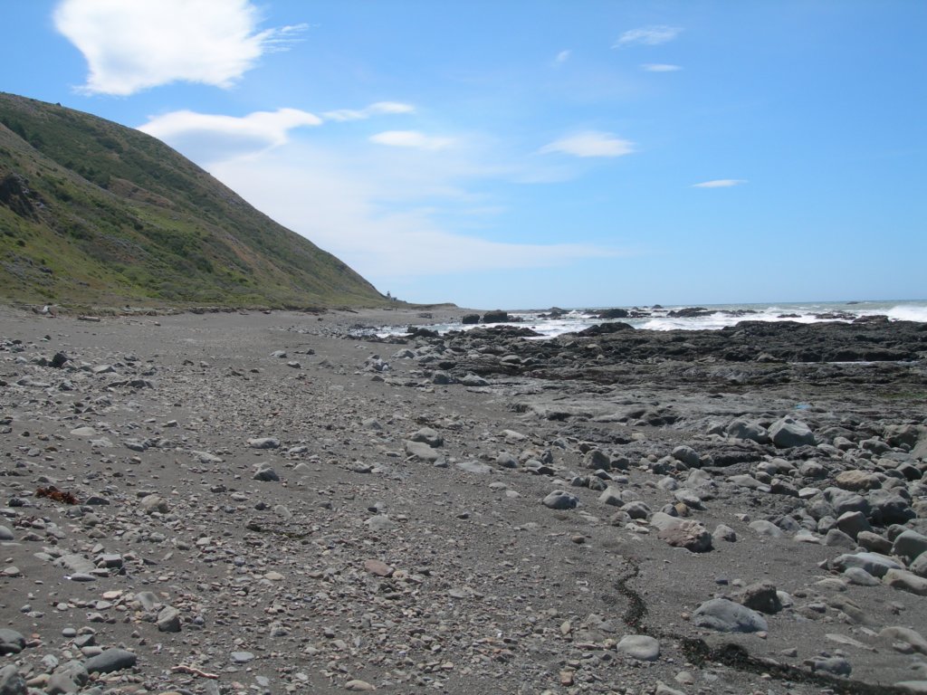 lostcoast2008_46.jpg