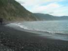 lostcoast2008_466_small.jpg