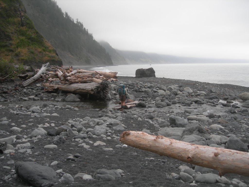 lostcoast2008_480.jpg