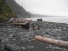 lostcoast2008_480_small.jpg