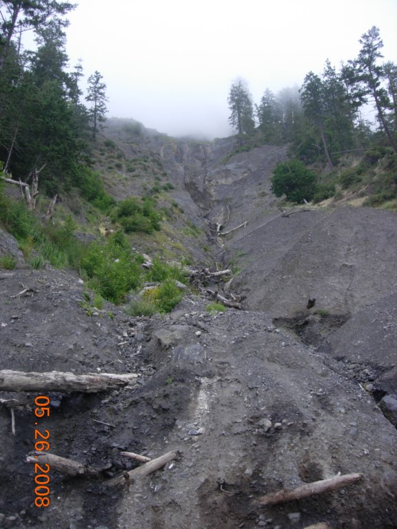 lostcoast2008_493.jpg