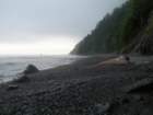 lostcoast2008_496_small.jpg