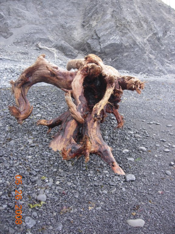 lostcoast2008_509.jpg
