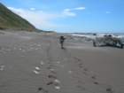 lostcoast2008_50_small.jpg