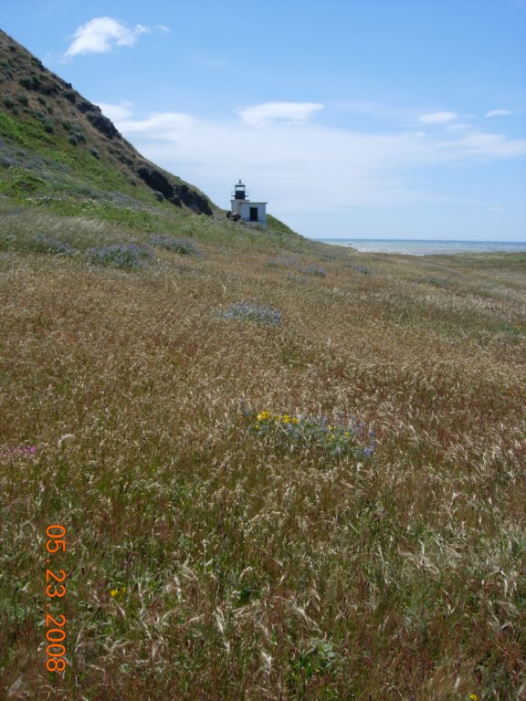 lostcoast2008_51.jpg