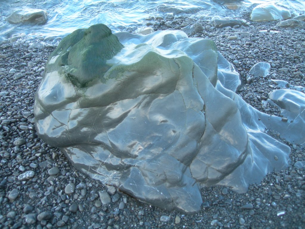 lostcoast2008_512.jpg